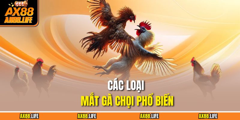 Các loại mắt gà chọi phổ biến