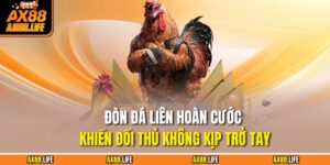 Đòn Đá Liên Hoàn